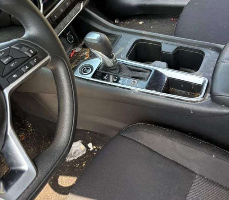 Front seat before 